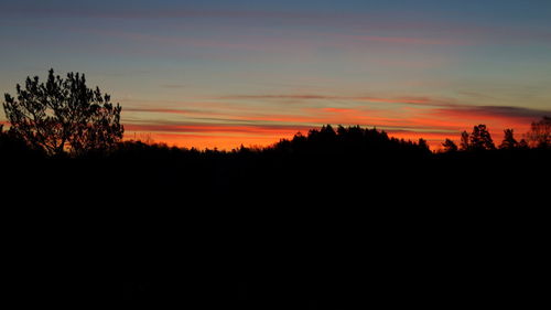 Silhouette trees against sky during sunset