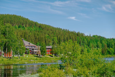 Scenic view of lake by trees against sky