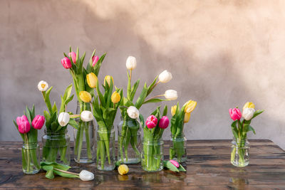 Close-up of multiple coloured tulips in vases