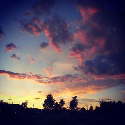 Silhouette of trees at sunset