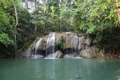 Scenic view of waterfall in forest