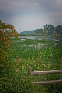 Scenic view of lake against sky