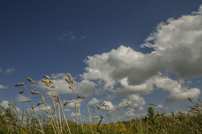 Scenic view of landscape against cloudy sky