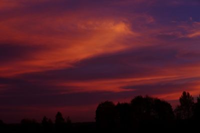 Silhouette trees against dramatic sky during sunset