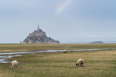 View of the mont saint-michel, france