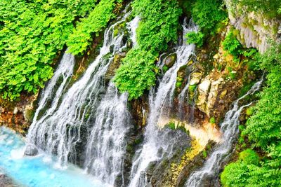 Scenic view of waterfall in forest