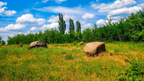 Hay bales on field against sky