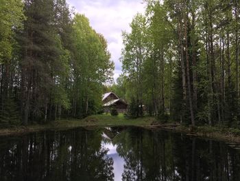 View of lake with trees in the background