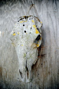 Directly above shot of dry leaf on wood