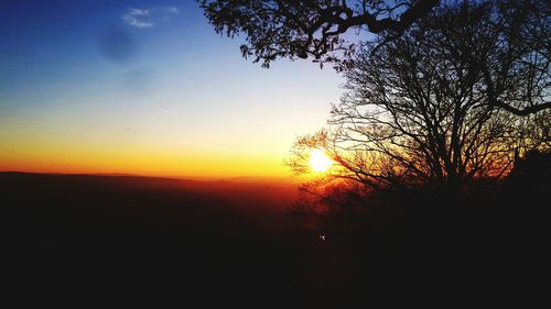 Silhouette of trees at sunset