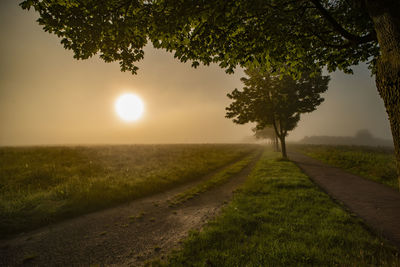 Road amidst trees on field against sky