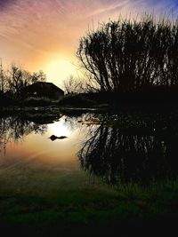 Silhouette plants by lake against sky during sunset