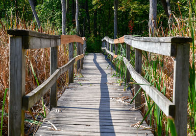 Wooden footbridge in forest