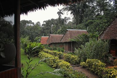 House amidst trees and plants against sky