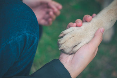 Close-up of relationship with human hand holding dog leg
