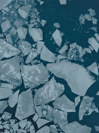 High angle view of frozen leaf on snow field