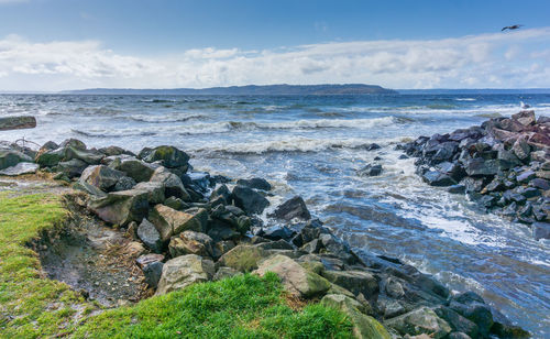 A view of the shoreline at saltwater state park in des moines washington on a windy day.