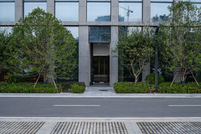 Street by trees and buildings in city