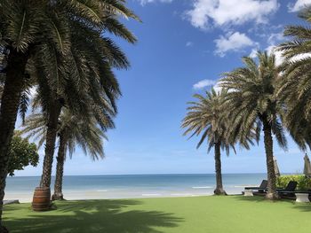 Palm trees on beach against sky