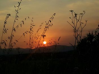 Silhouette birds flying over landscape against sky during sunset