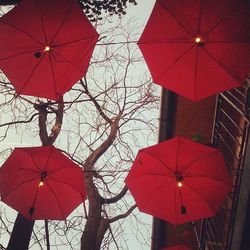 Low angle view of red wall