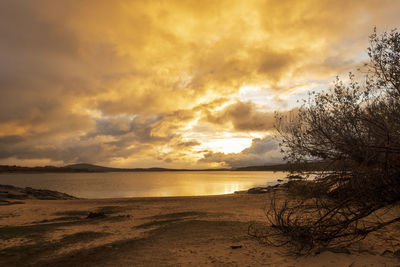 Scenic view of beach against sky during sunset