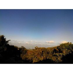 Scenic view of trees against sky