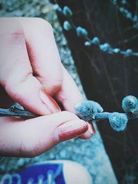 human hand