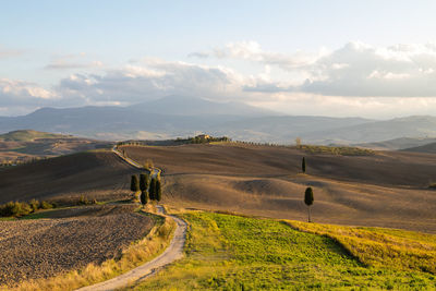 Scenic view of agricultural field against sky