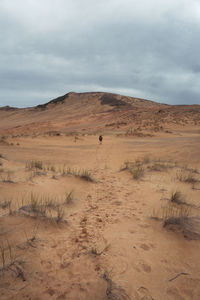 Scenic view of desert against sky