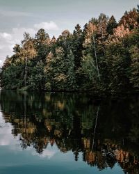 Reflection of trees in lake against sky