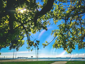 Scenic view of trees against sky