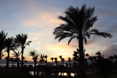 Silhouette palm trees by swimming pool against sky during sunset