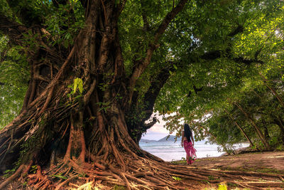 Man standing on tree at beach