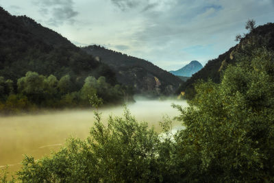 Scenic view of tree mountains against sky