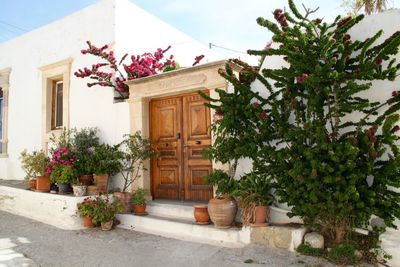 Potted plants outside house