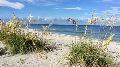 Scenic view of beach against blue sky