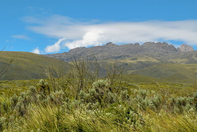 Scenic mountain landscapes against sky, mount kenya national park, kenya 