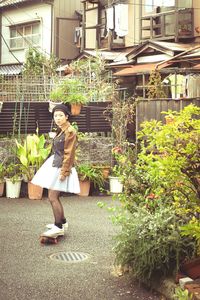 Potted plants on the wall