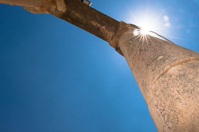 Low angle view of tree against sky