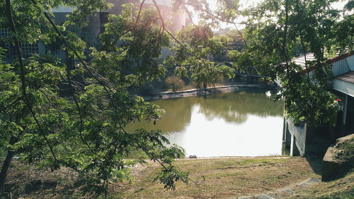 Scenic view of lake by trees