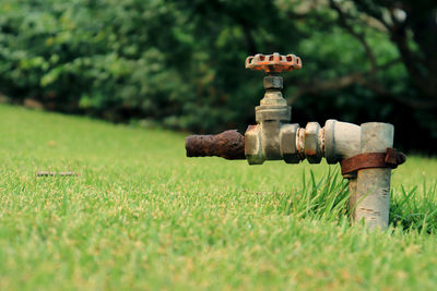 Close-up of fire hydrant on field