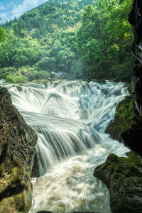 Scenic view of waterfall in forest