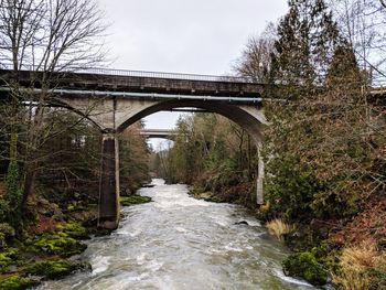 Bridge over river amidst trees against sky