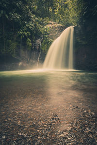 View of waterfall in forest