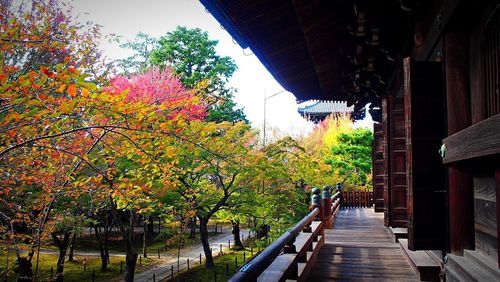 Footbridge amidst trees against sky during autumn