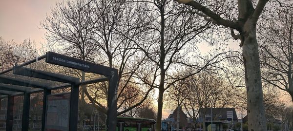 Low angle view of bare trees and buildings against sky