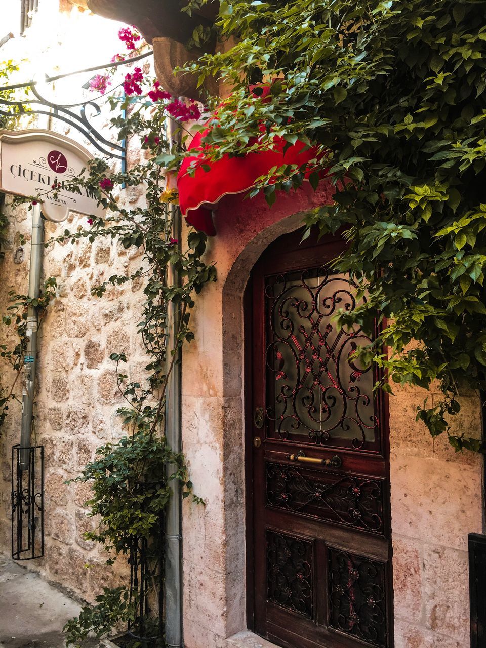 architecture, built structure, building exterior, building, plant, no people, entrance, door, day, tree, nature, growth, outdoors, house, arch, residential district, place of worship, wall - building feature, low angle view, decoration, ornate, floral pattern