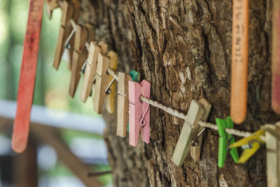 Close-up of cross hanging on tree trunk