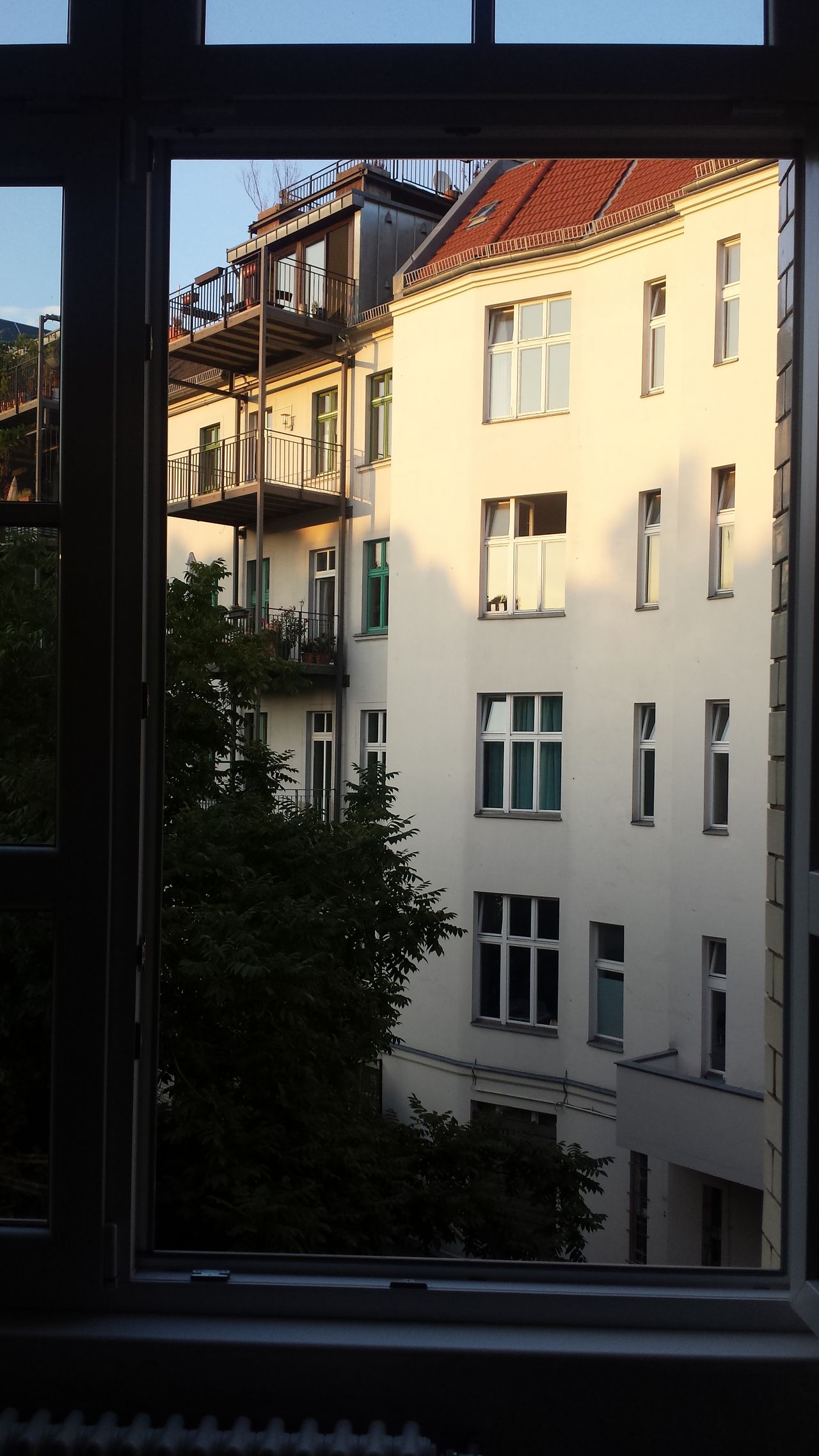 The View From My Window